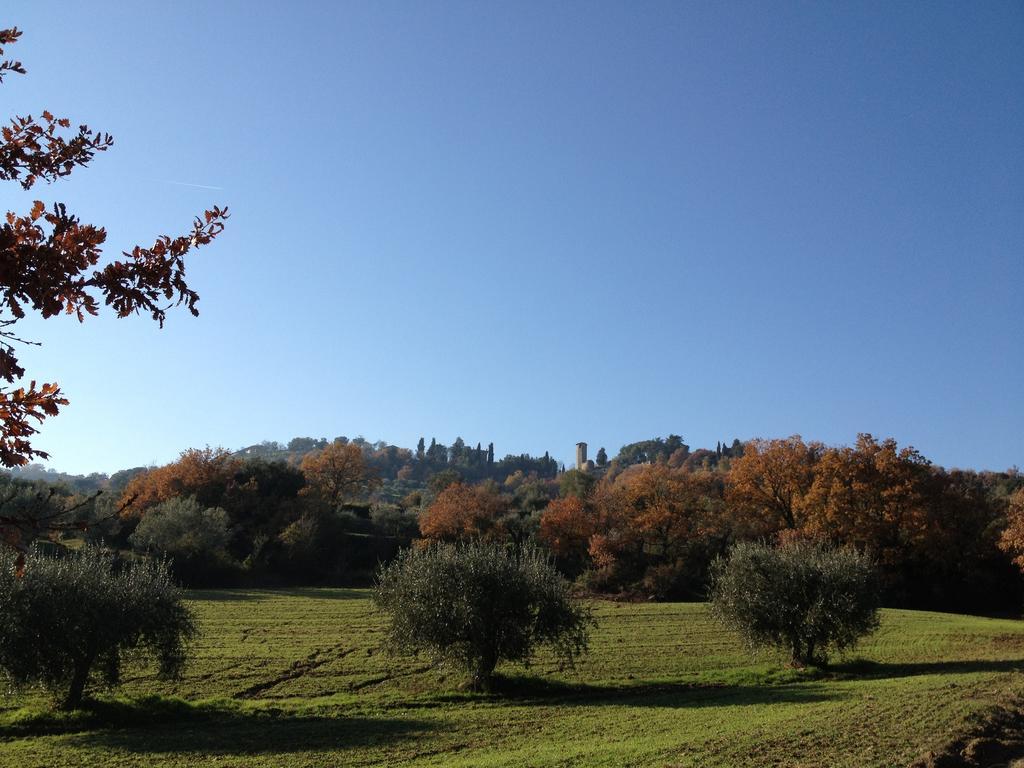 Podere Schioppello Casale Con Appartamenti Privati Cibottola Экстерьер фото